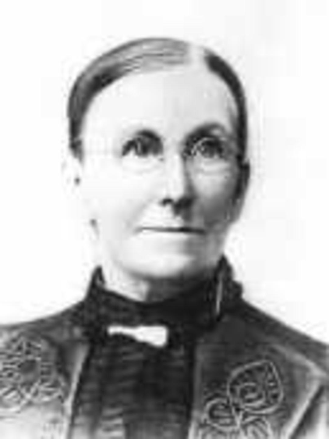 America Ann Steele (1829 - 1908) Profile